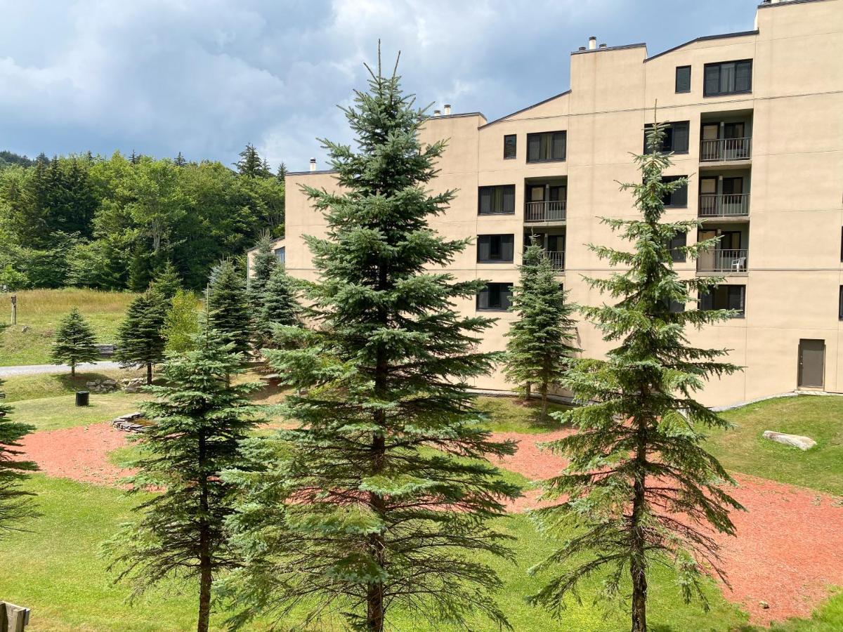 Ski-In Ski-Out Luxury Condo With Hot Tub And Pools Snowshoe Luaran gambar
